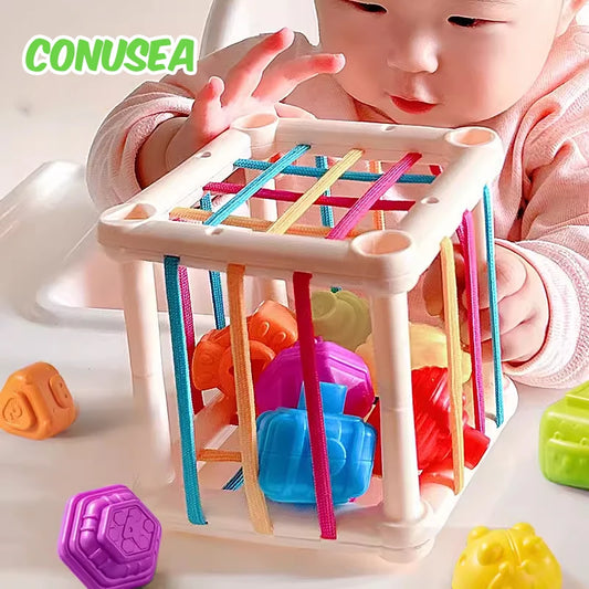 Montessori Baby Toys